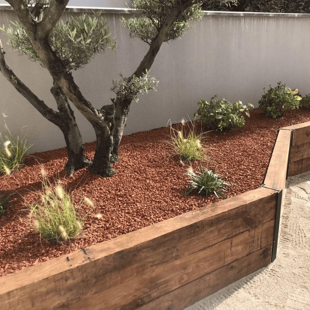 cedar framed garden bed