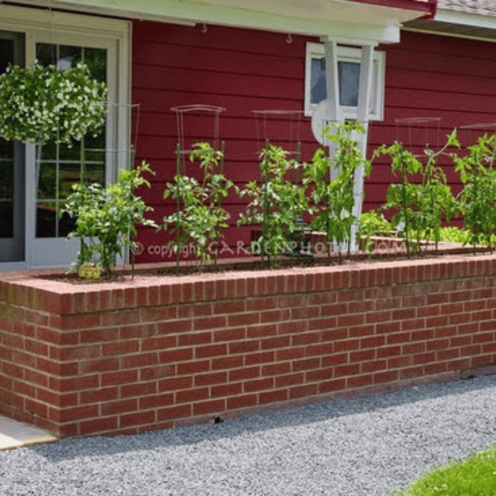 brick wall garden bed