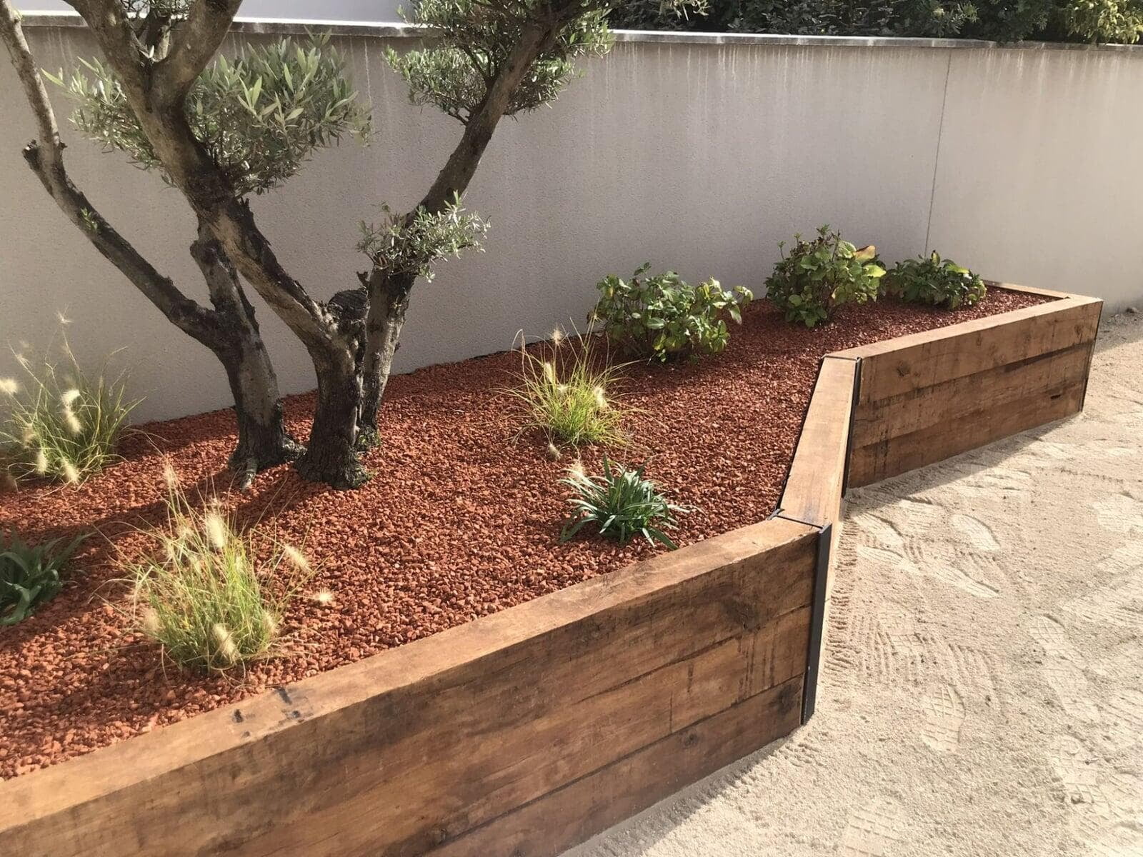 wood framed garden bed
