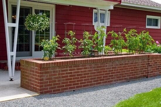 brick framed garden bed